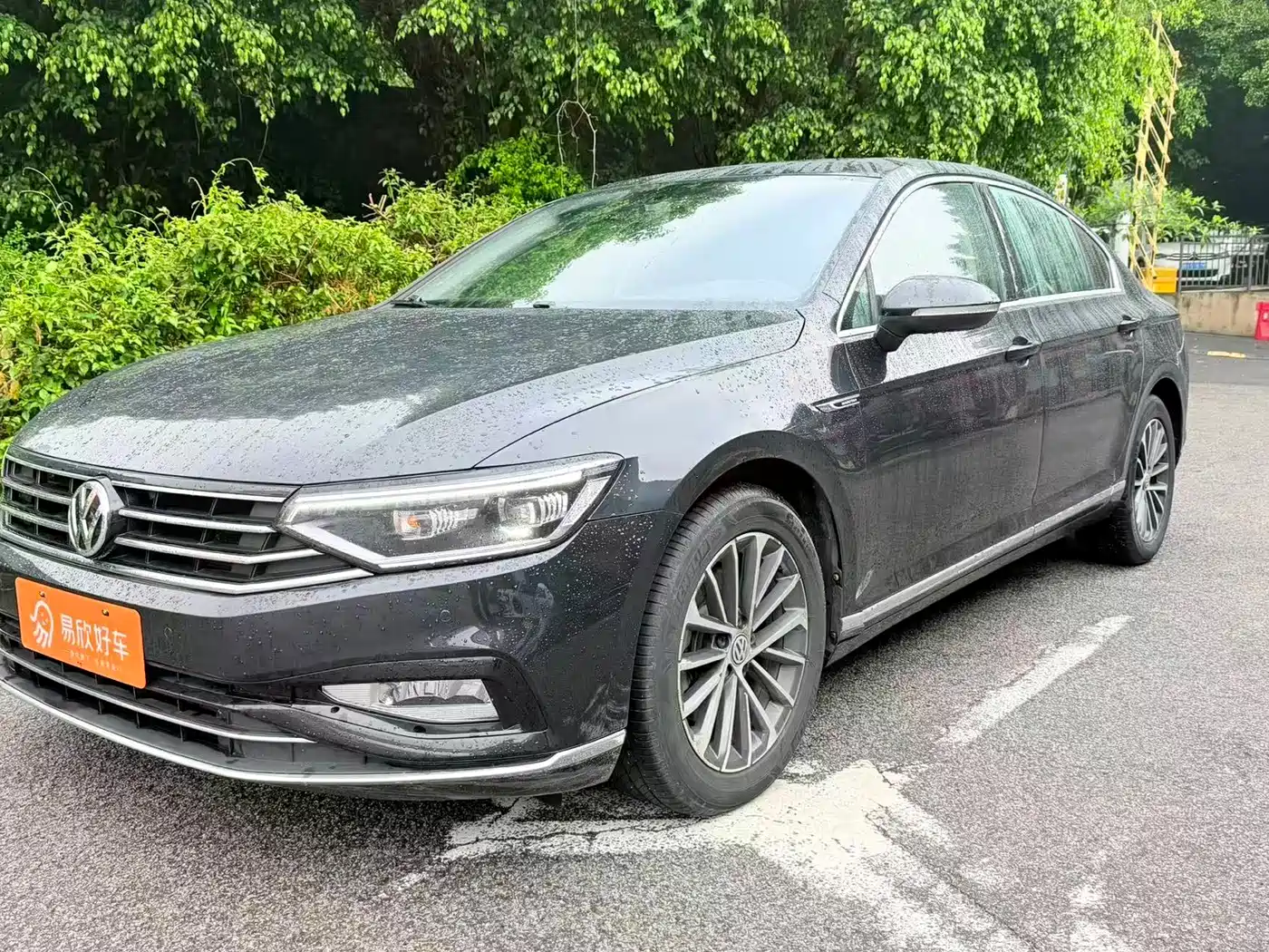 Volkswagen Magotan 2019 330TSI DSG Luxury China V