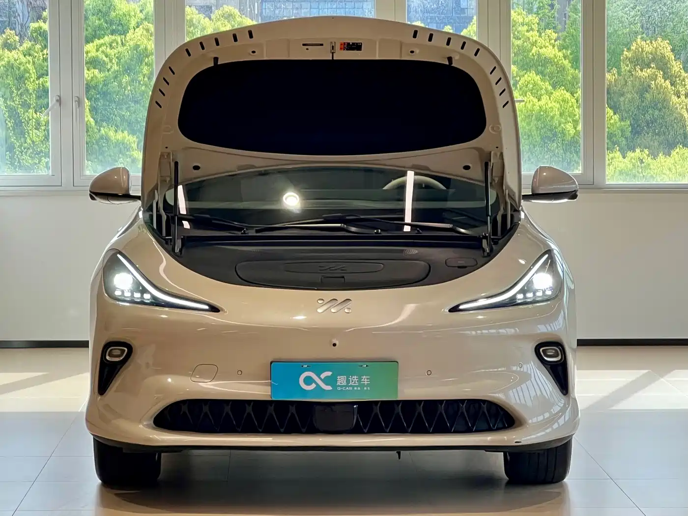 ZHIJI AUTOMOBILE ZHIJI LS6