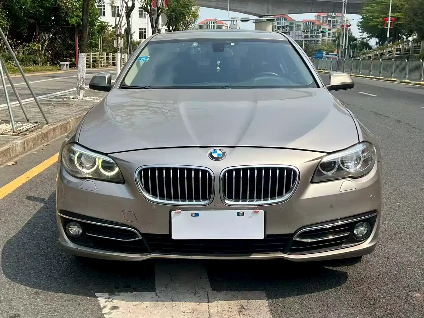BMW 5 Series 2014 525Li Leading фото 3