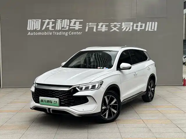BYD SONGJIANG NEW ENERGY