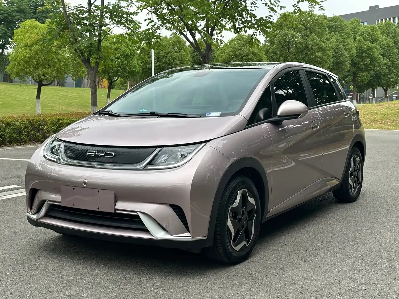 BYD Dolphin 2021 Model 405km Fashion Edition