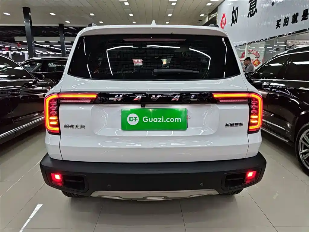 Haval Big Dog 2022 1.5T DCT FWD Border Collie Edition фото 6