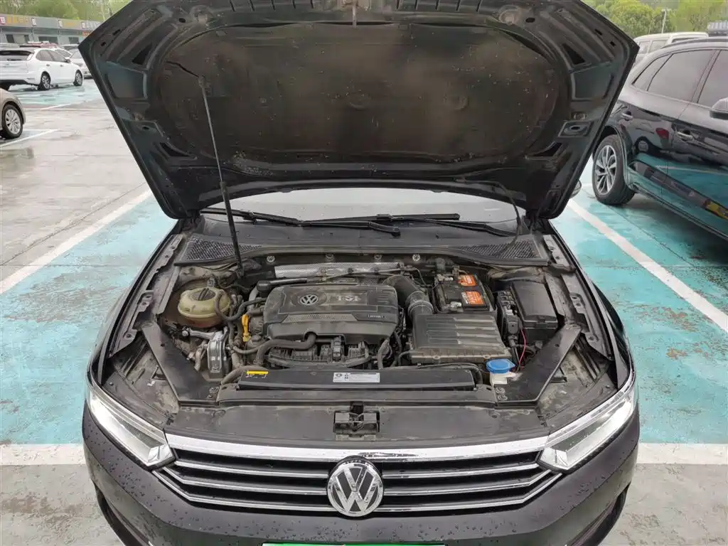 Volkswagen Magotan 2018 330TSI DSG Leading фото 20