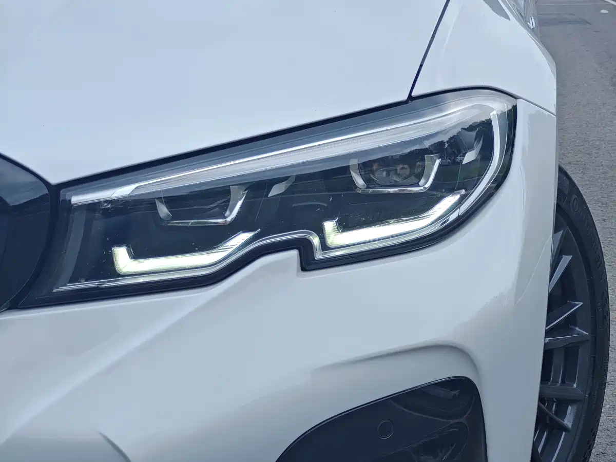 BMW 3 Series 2020 325Li M Sport Black Night Package фото 7