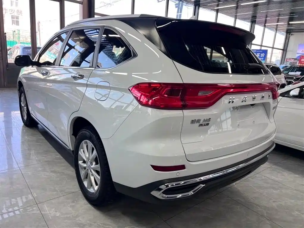 HAVAL M6