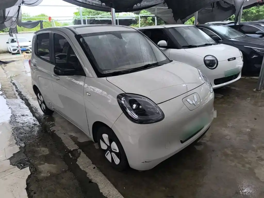 صورة 4 - Wuling Motors Hongguang MINIEV