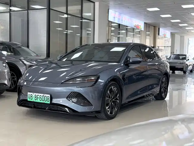 BYD Seal 550km, Стандартный запас хода, задний привод, Элит