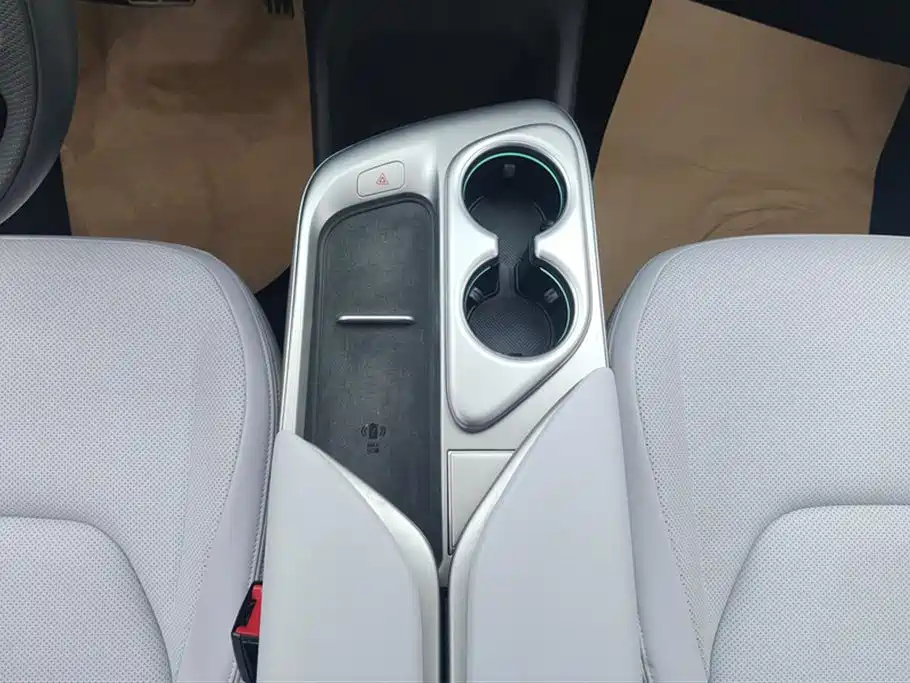 ARCFOX EXTREME FOX POLAR FOX ALPHA T5