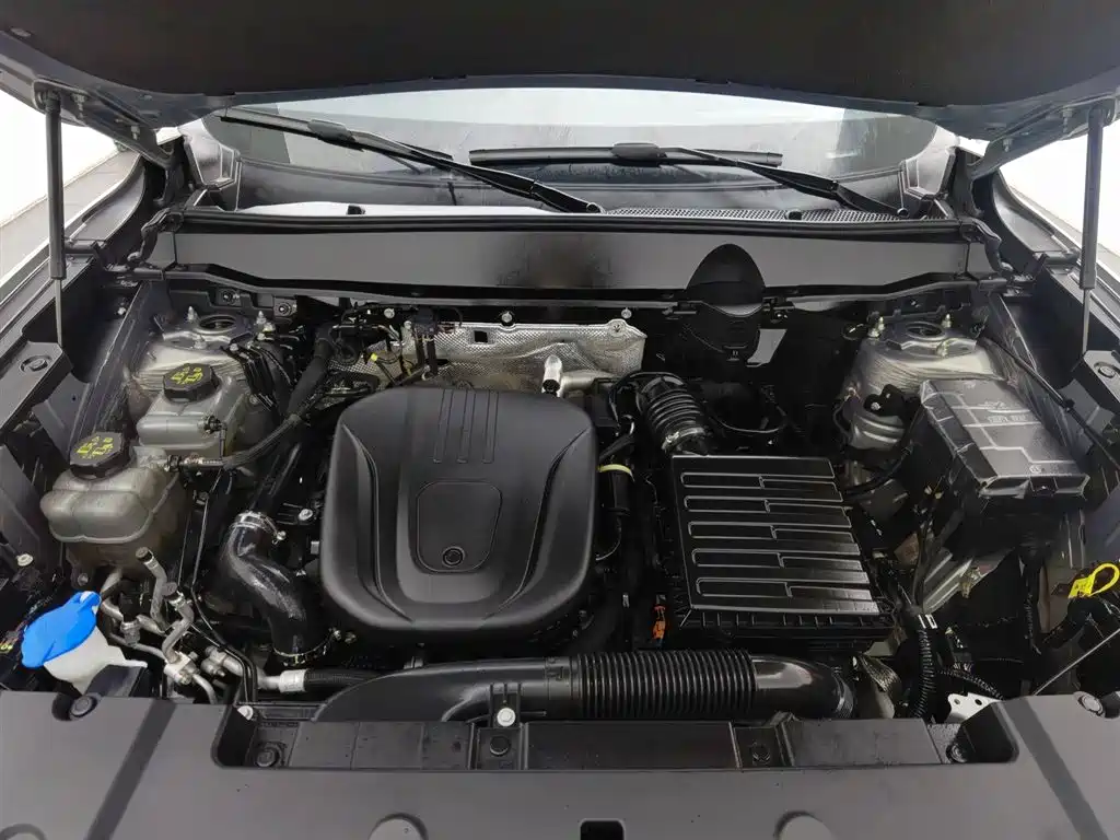 HAVAL SECOND GENERATION BIG DOG NEW ENERGY