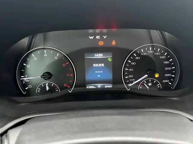 WEI PAI WEI BRAND VV5