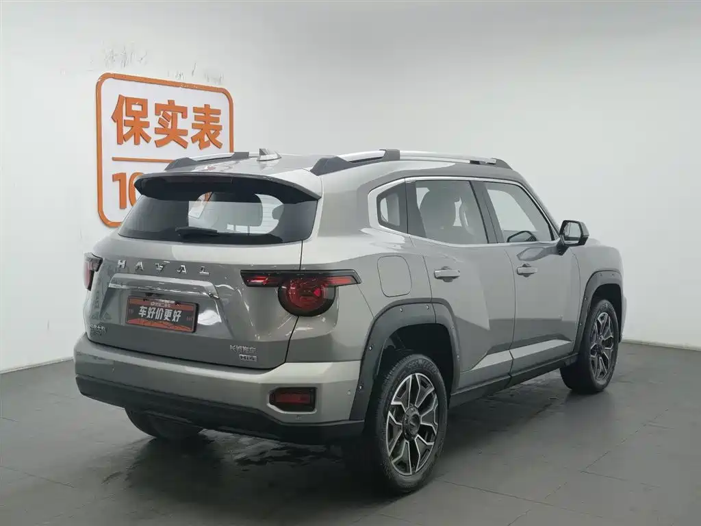 HAVAL SECOND GENERATION BIG DOG NEW ENERGY