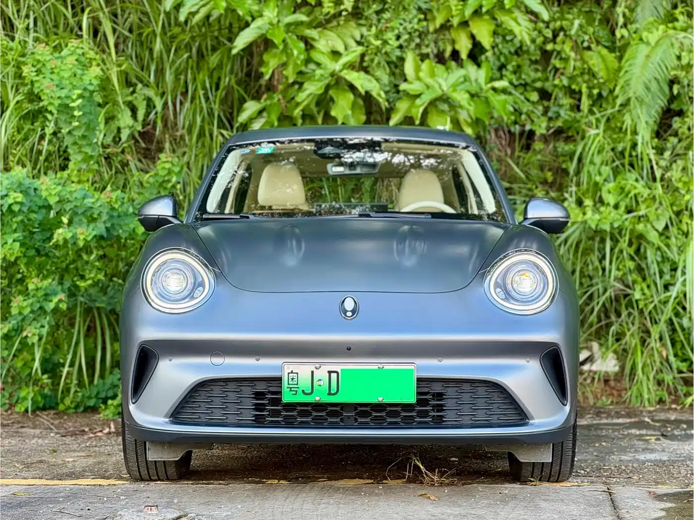 Ora Good Cat 2025 2025 430km Honor Edition