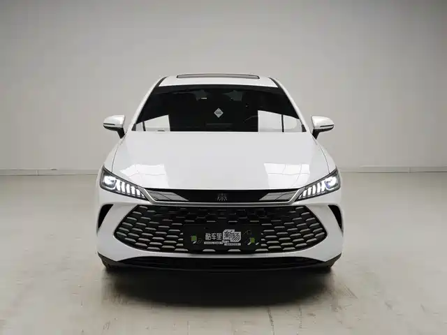 BYD Qin PLUS 2026 Model DM-i 210KM Progressive Edition — фото 2