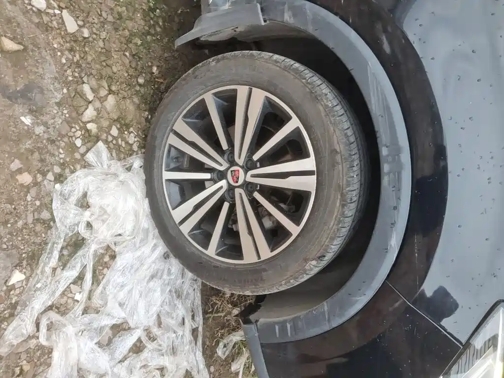 Фото 8 - Roewe RX5