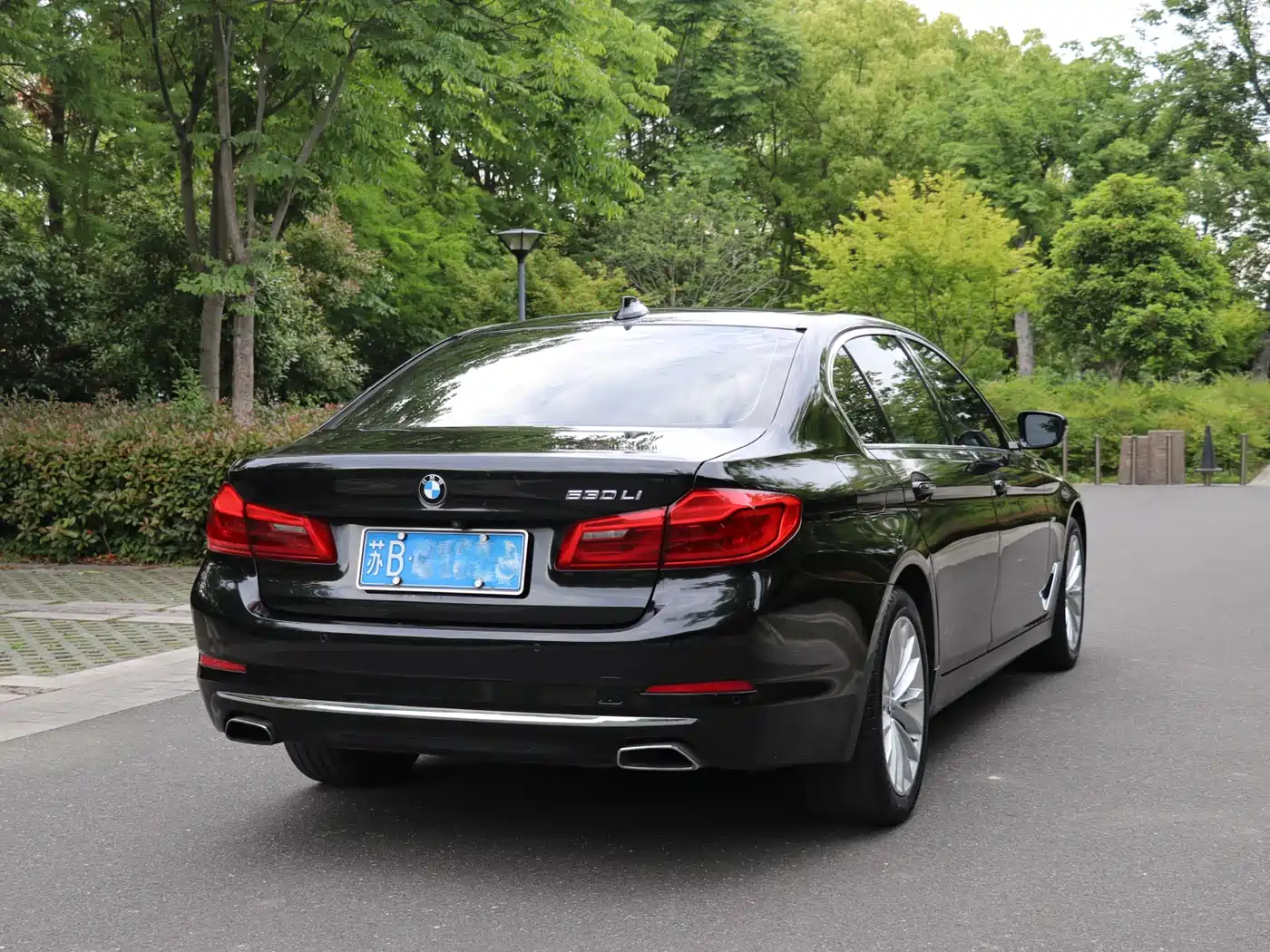 BMW 5 Series 2018 530Li Leading Luxury Package фото 3