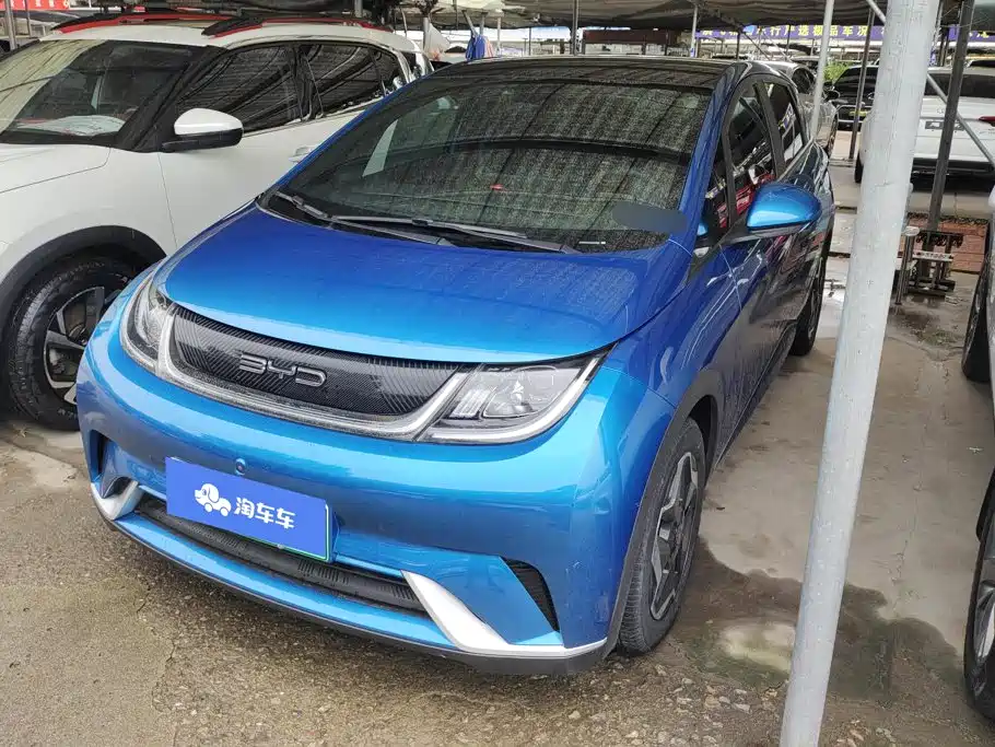 BYD Dolphin 2021 Model 405km Fashion Edition