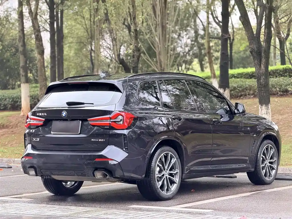 BMW X3 2022 xDrive30i Leading M Night Package фото 11