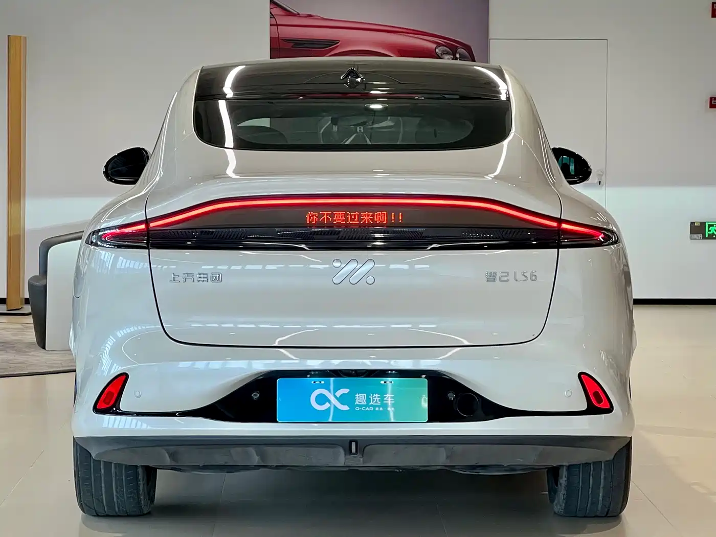 ZHIJI AUTOMOBILE ZHIJI LS6