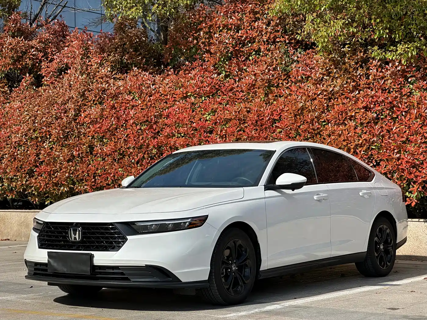 Honda Accord 2025 2025 260TURBO Luxury Edition