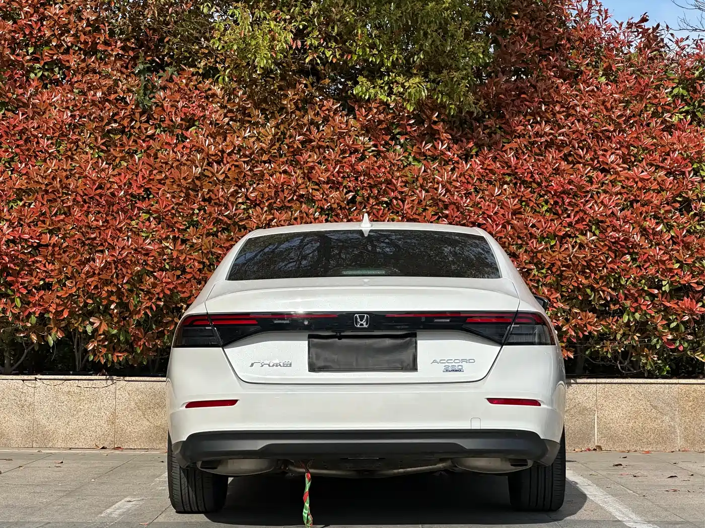 Honda Accord 2025 2025 260TURBO Luxury Edition