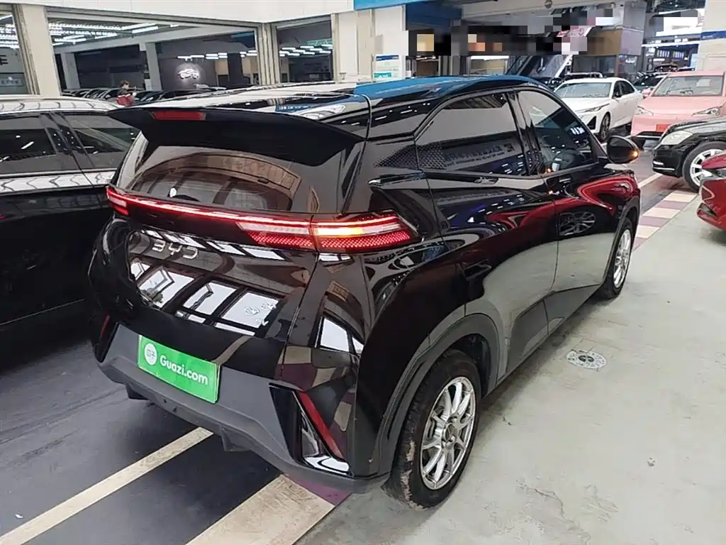 BYD Seagull 2024 Glory Edition 305km Vitality Edition фото 7