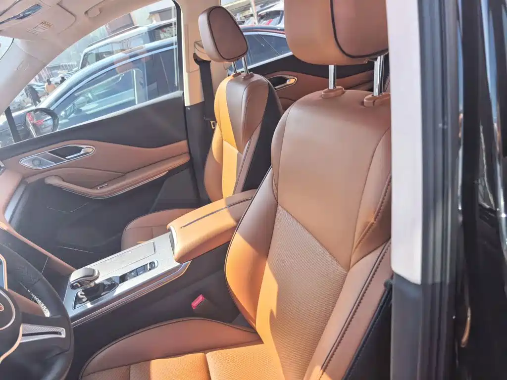 Photo 12 - Hongqi HS7 PHEV