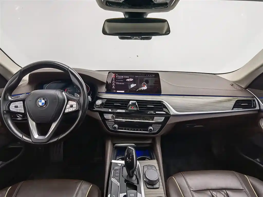 BMW 5 Series 2020 530Li Leading Luxury Package фото 5