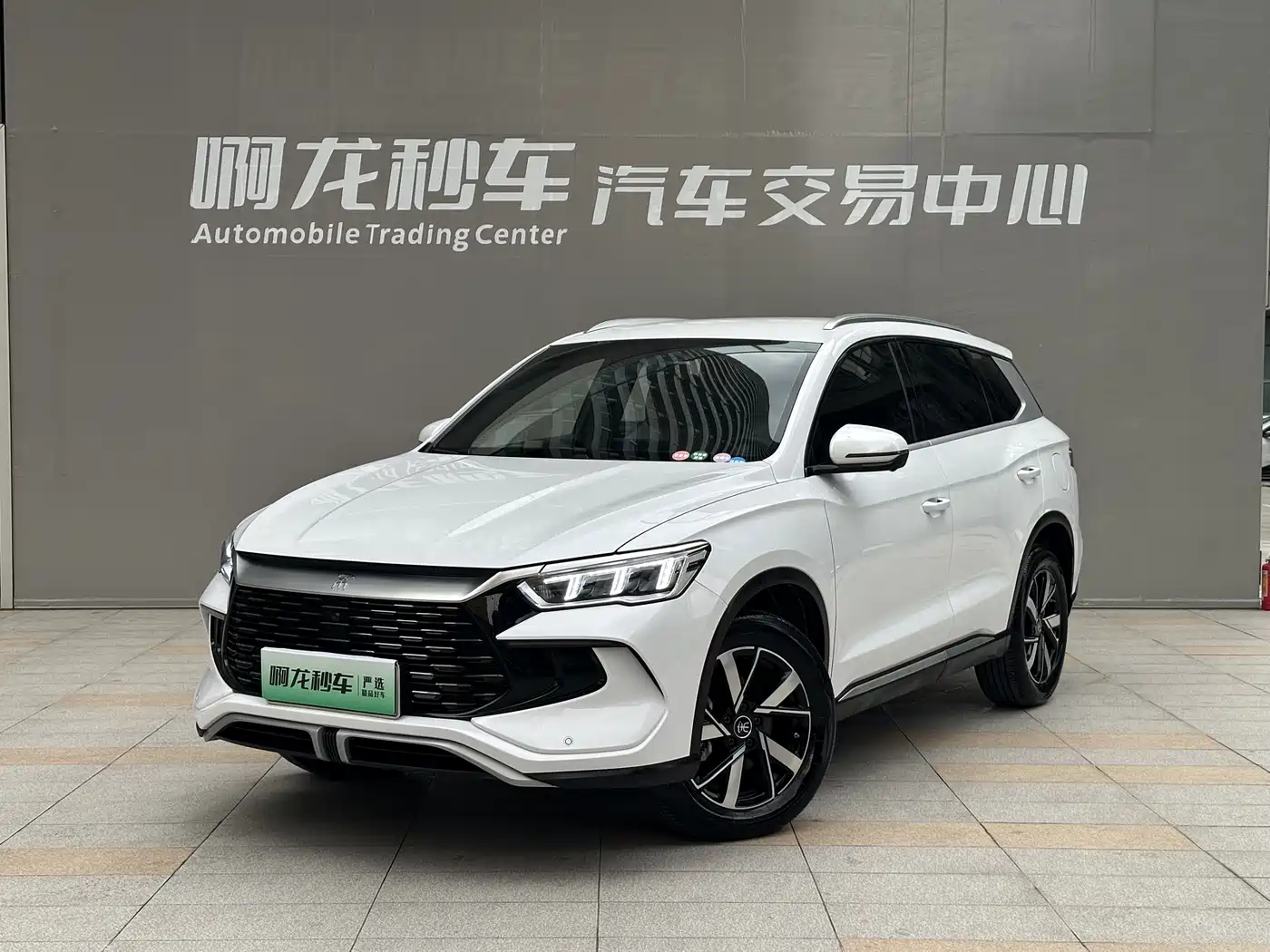 BYD SONGJIANG NEW ENERGY