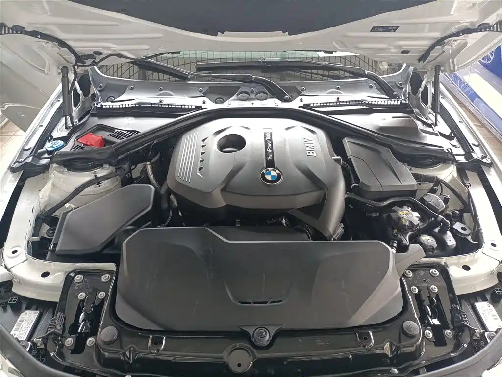 BMW 3 Series 2019 320Li Fashion Type фото 17