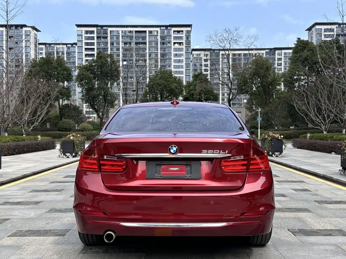 BMW 3 Series 2015 320Li Super Joy Luxury Design Package фото 5