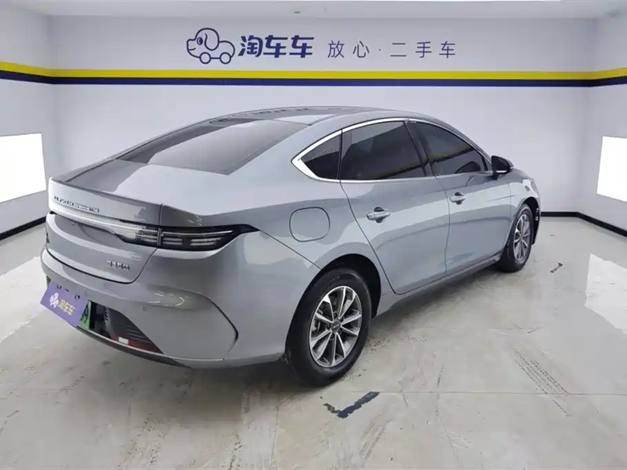 BYD Destroyer 05 2024 Glory Edition DM-i 55KM Luxury фото 3
