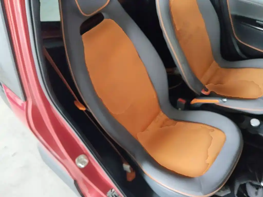 Baojun E100 2020 2019 250KM Smart Edition