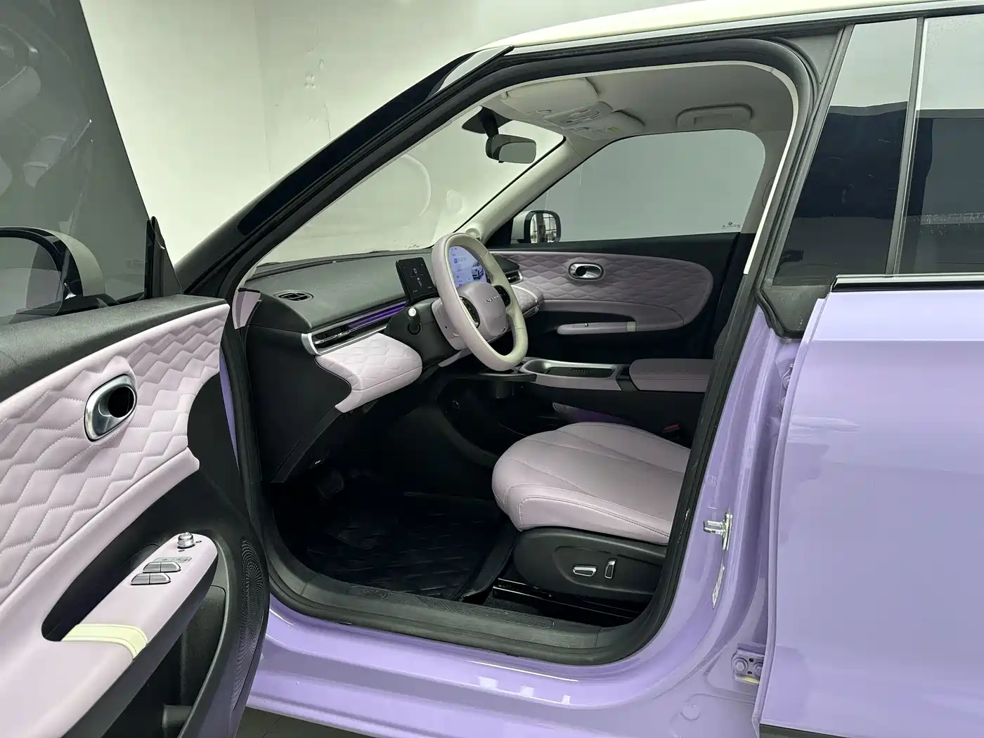 Dongfeng Yipai Nano 01 2025 2024 430 Plus Smart+