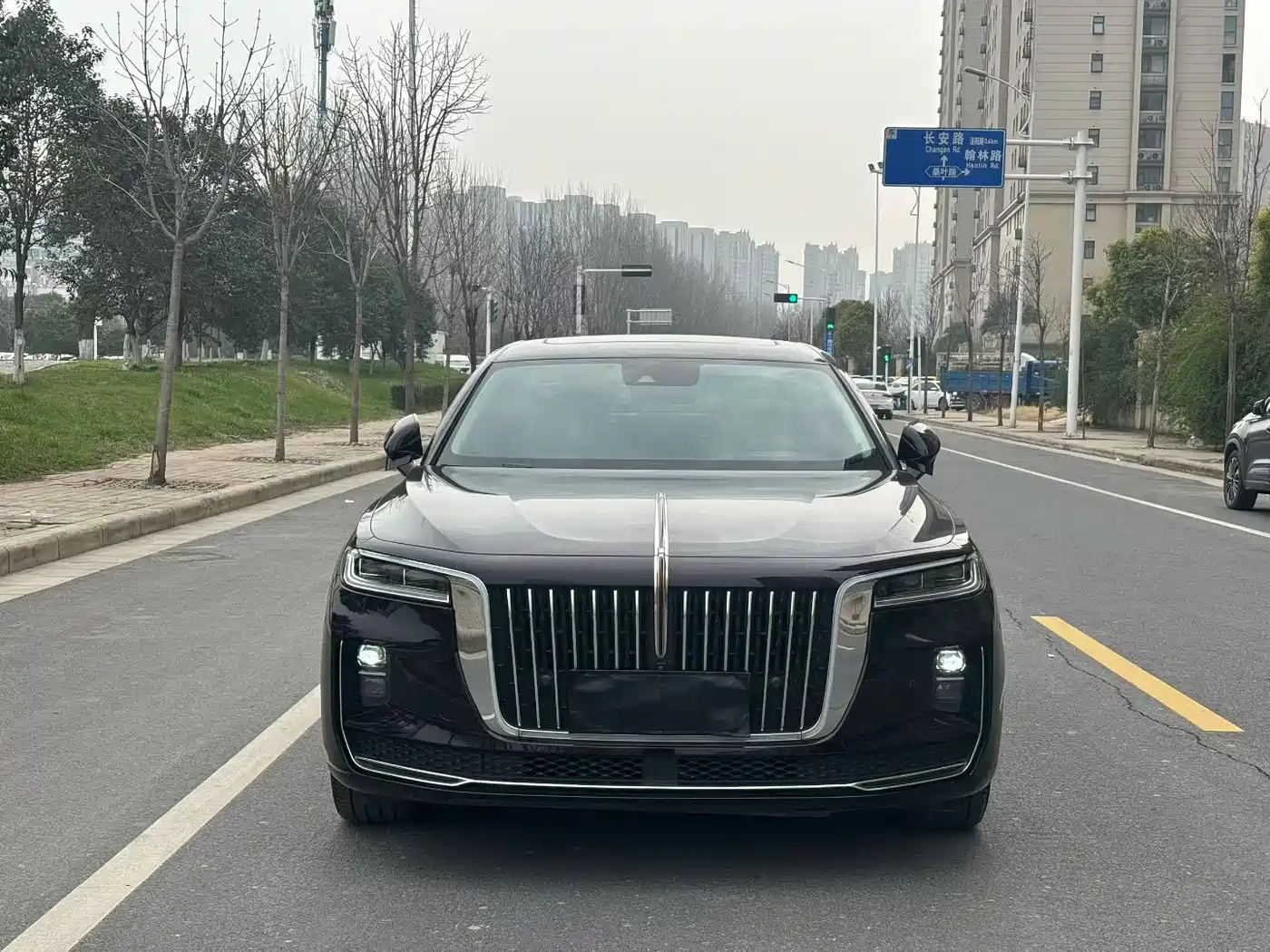 Hongqi HONGQI H9