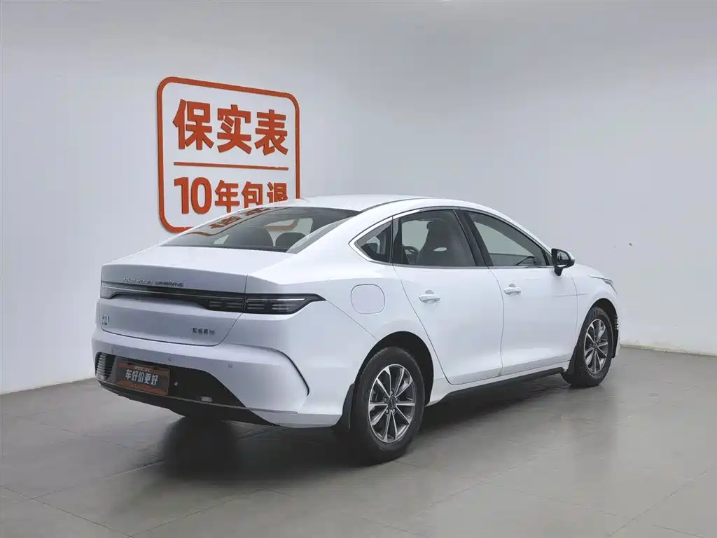 BYD Destroyer 05 2024 Glory Edition DM-i 55KM Luxury фото 2