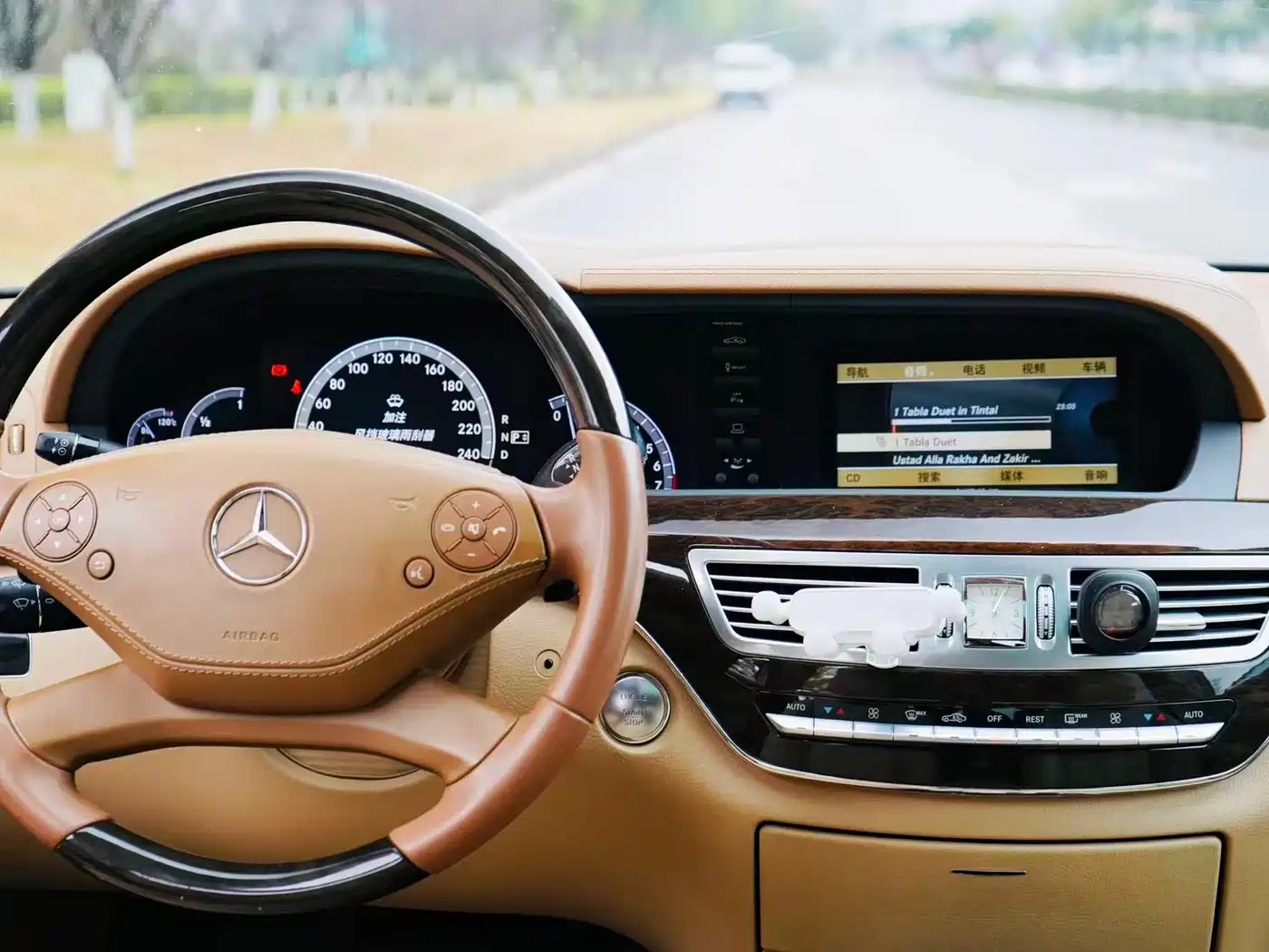 Mercedes-Benz S-Class 2010 S 300 L Premium фото 9