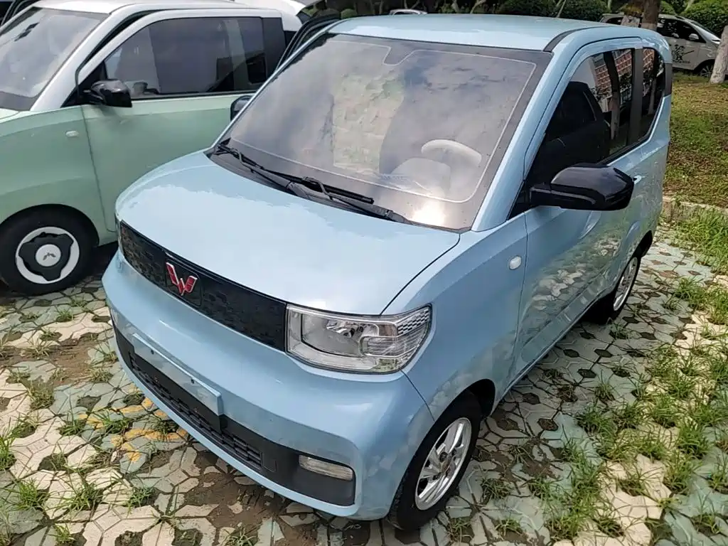  Wuling Motors Hongguang MINIEV 2020 Enjoy Edition LFP