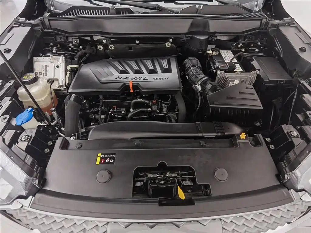 Haval H6 2021 3rd Gen 1.5T Auto 2WD Pro фото 6