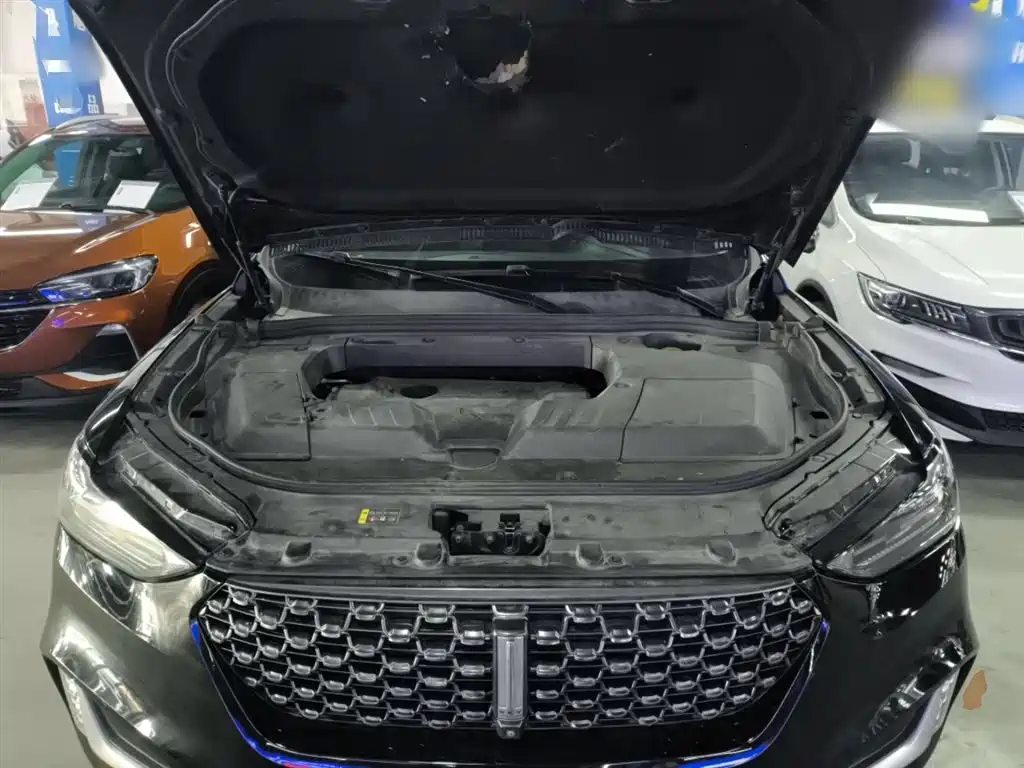 WEY VV6 2021 2021 2.0T 2WD Smart Protection+