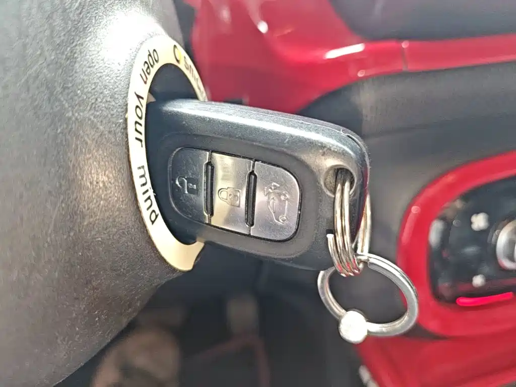 Фото 9 - smart forfour