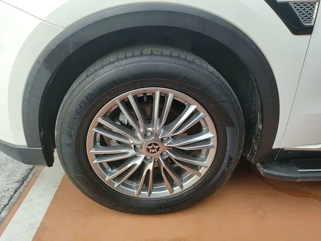 Venucia Star 2022 2021 260T Auto 48V Mild Hybrid Star Edition