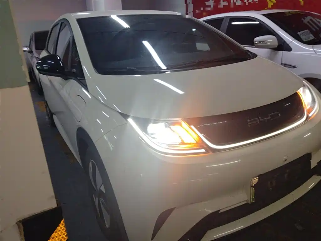 BYD Dolphin 2023 420km Freedom Edition фото 22