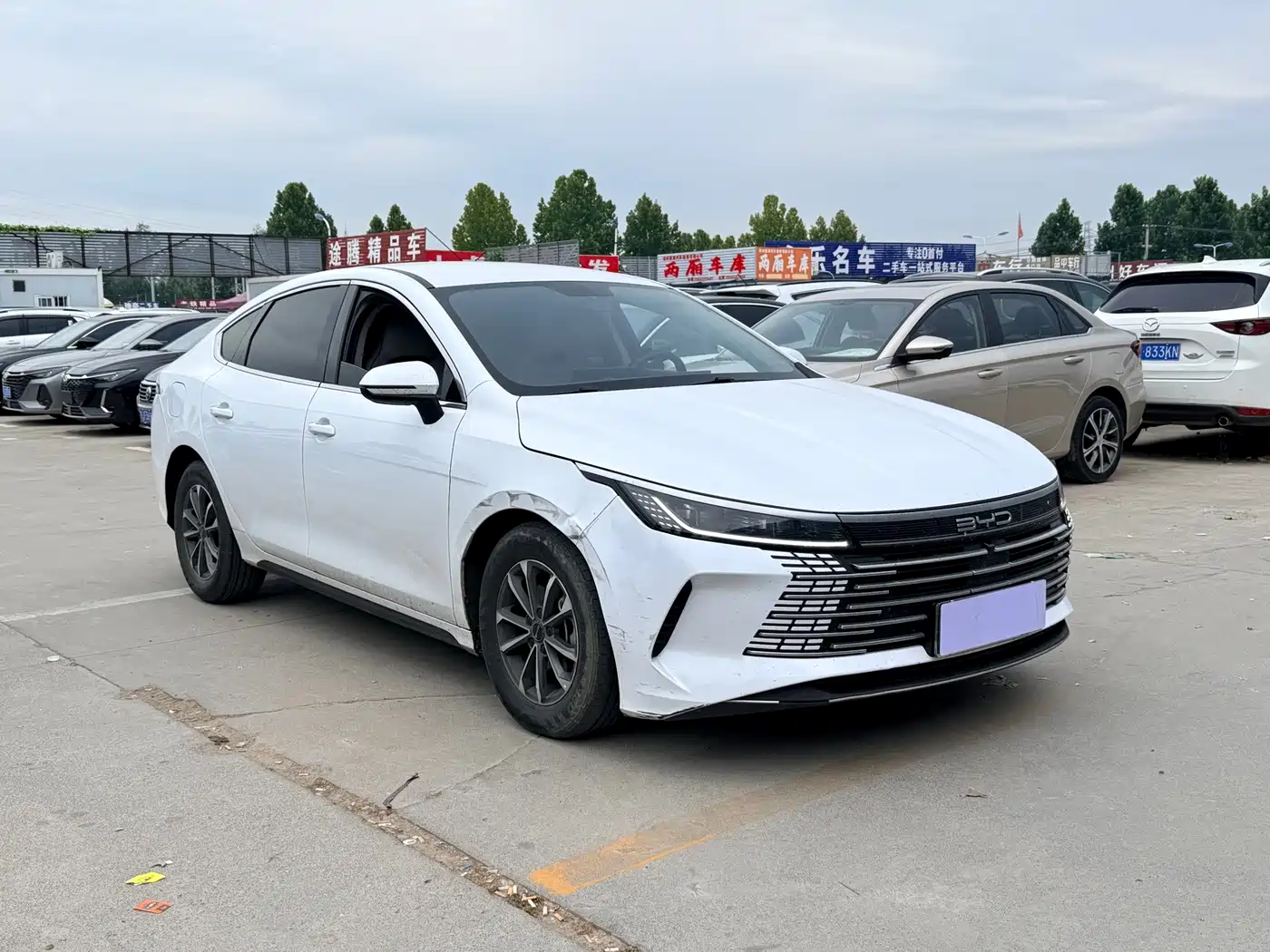 BYD Destroyer 05 2023 2023 Champion Edition DM-i 55KM Luxury