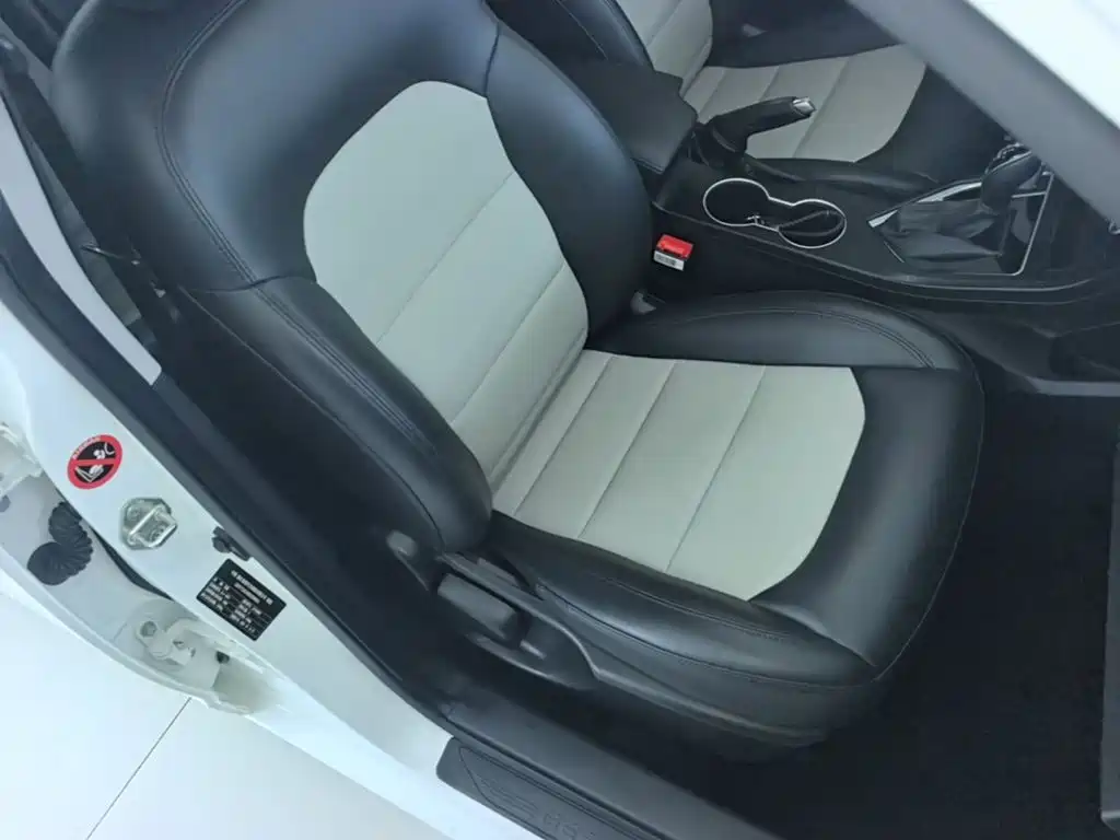 Фото 25 - Geely Vision