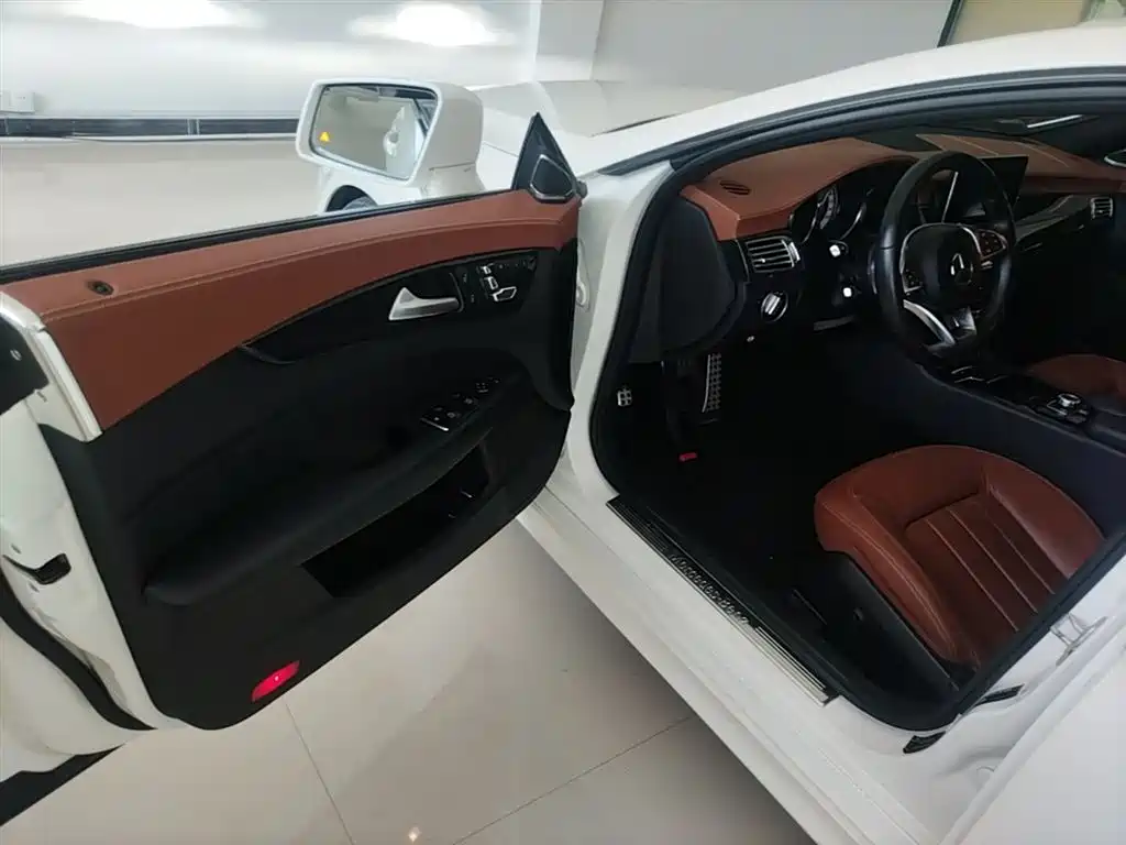 Mercedes-Benz CLS 2017 CLS 320 Elegance Edition фото 16