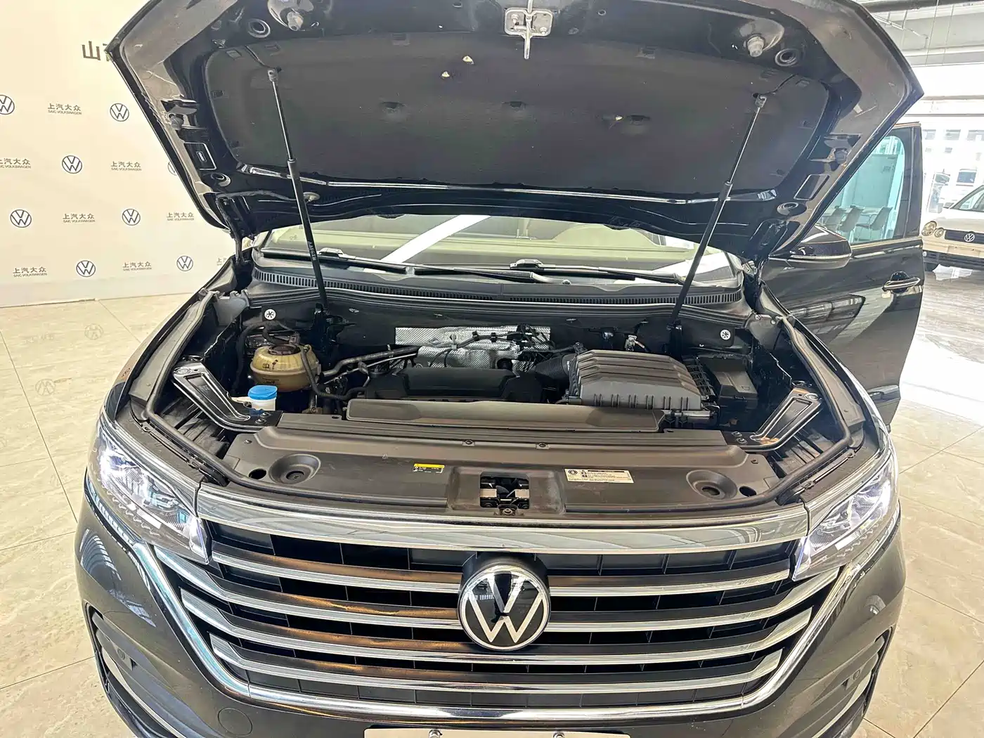 Volkswagen Viloran 2024 330TSI Luxury Edition фото 9