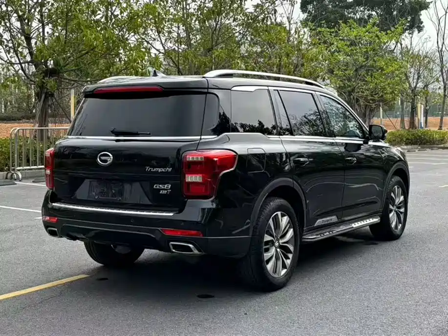 GAC Trumpchi Trumpchi GS8 2017 320T 2WD Luxury Smart Connect (7-seater) фото 24