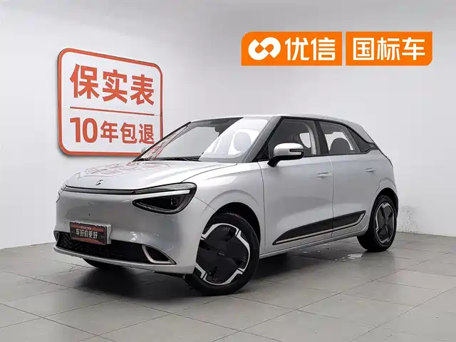 Dongfeng Yipai Nano 01 2024 Renewal Edition 330 Plus Smart+