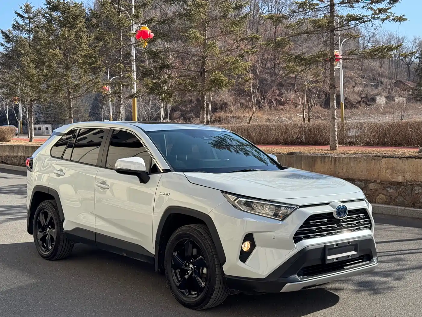 Toyota RAV4 Rongfang 2021 Facelift Hybrid 2.5L E-CVT 4WD Elite PLUS фото 3