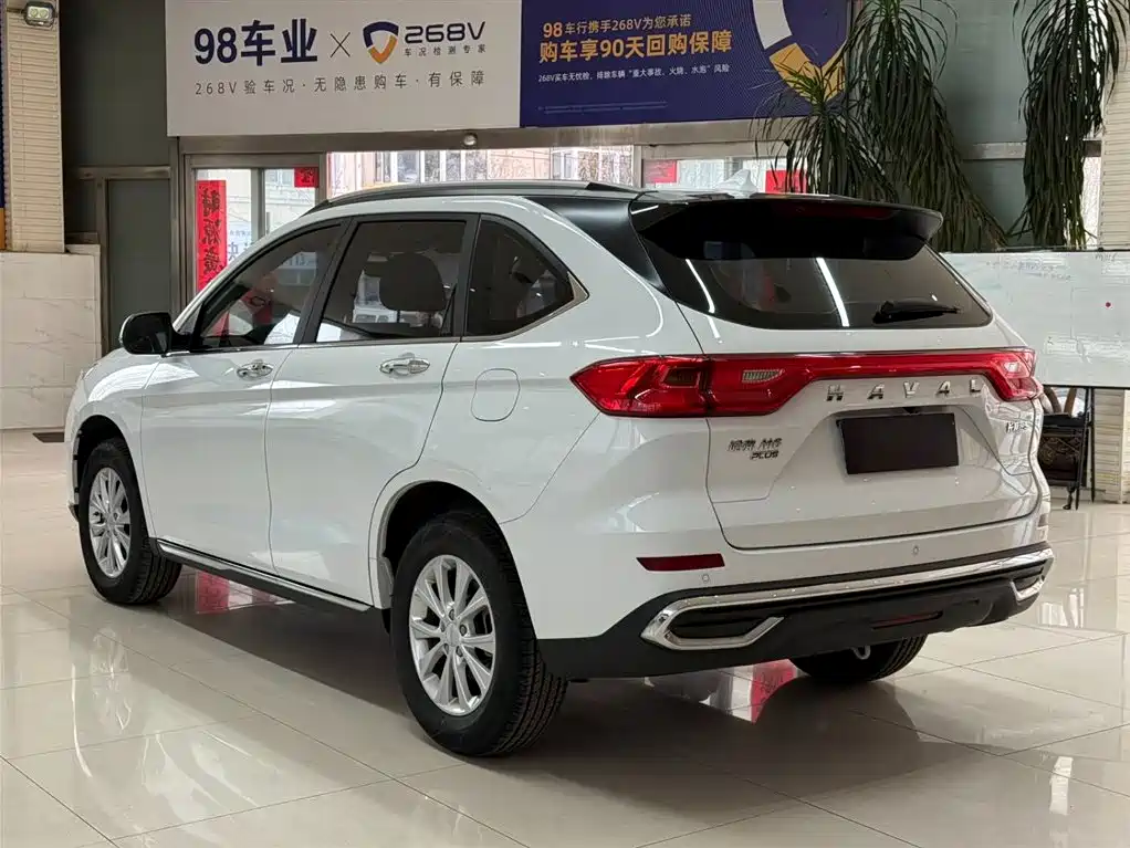 HAVAL M6